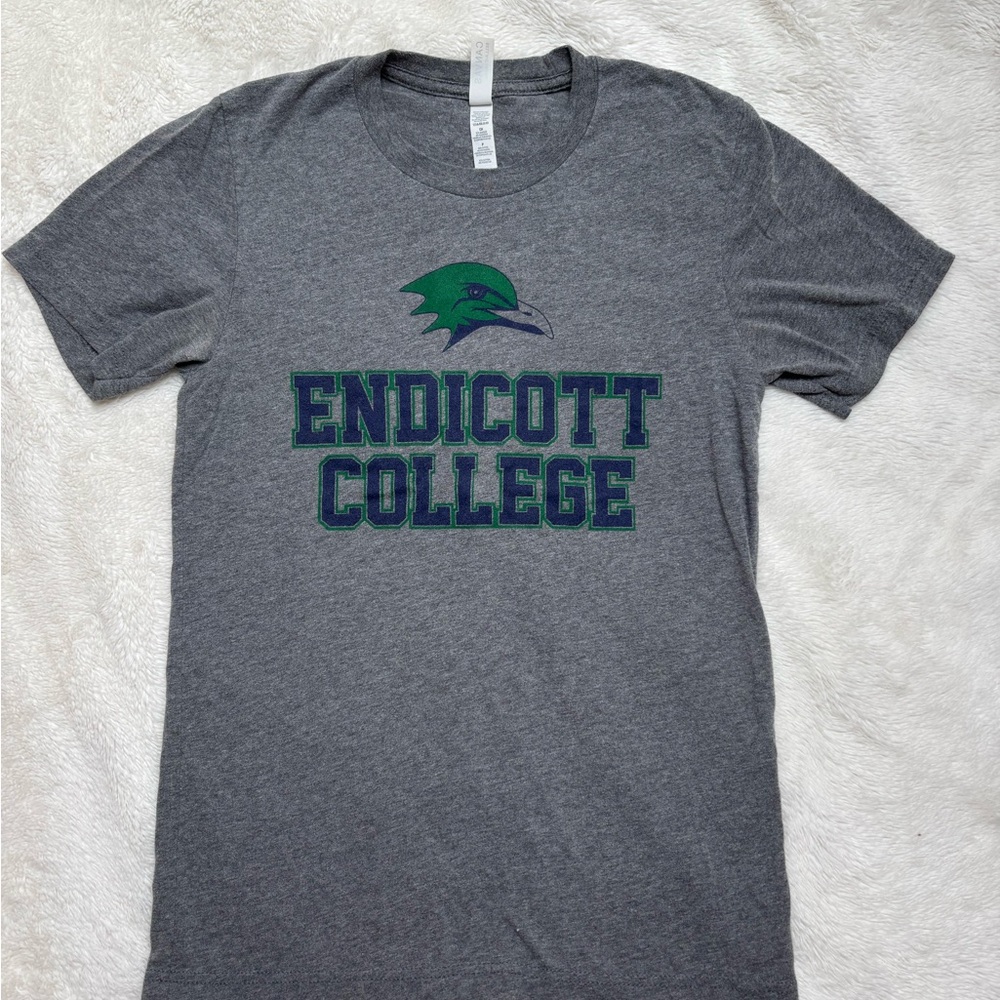 Endicott College Gray T-Shirt